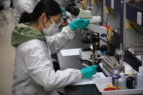 第九屆達承杯醫(yī)學檢驗技術(shù)專業(yè)本科生技能大賽圓滿落幕，技術(shù)研發(fā)成果顯著